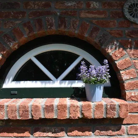 Hébergement de vacances Moewen-nest