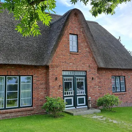 Moewen-nest Tönning