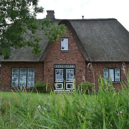 Moewen-nest * Tönning