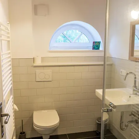 Moewen-nest * Tönning