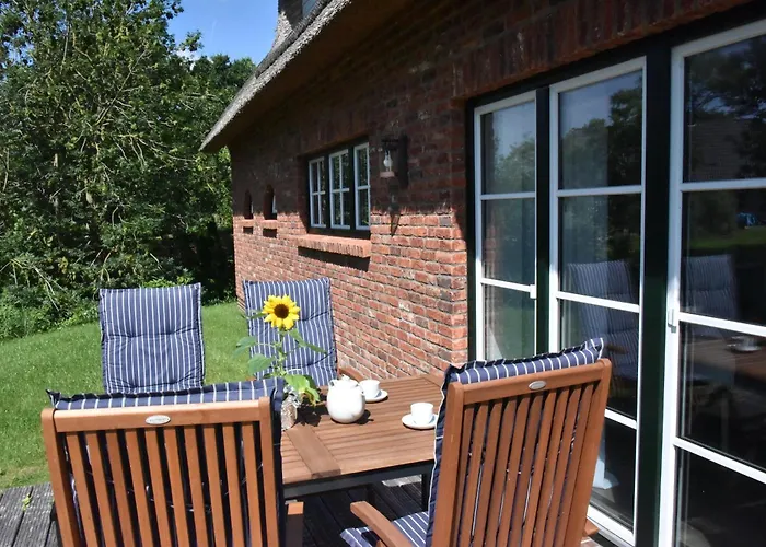 Moewen-nest Tönning