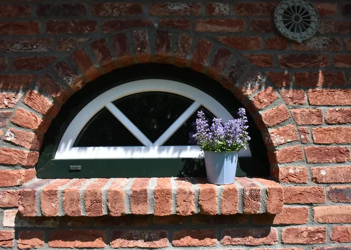 Casa de Férias Moewen-nest