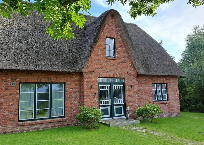 Moewen-nest Tönning