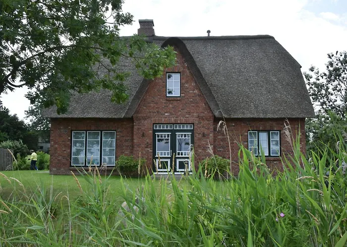 Moewen-nest * Tönning