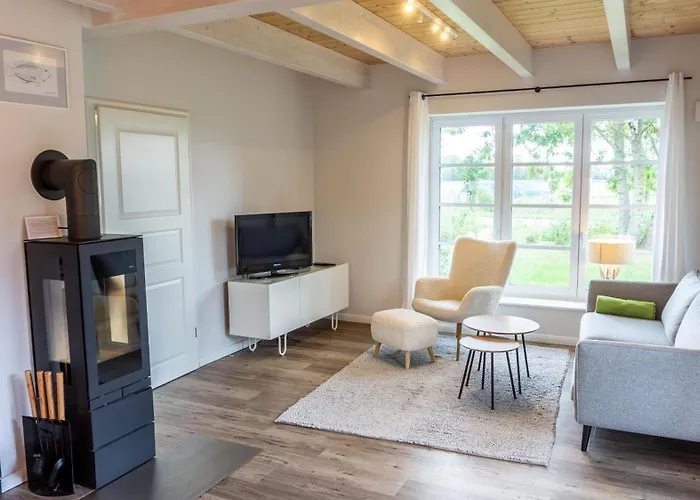 Moewen-nest * Tönning